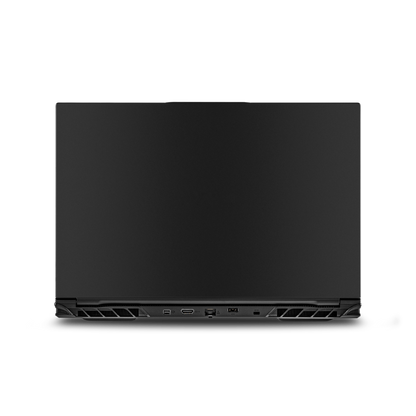 SurfThing M2 Laptop